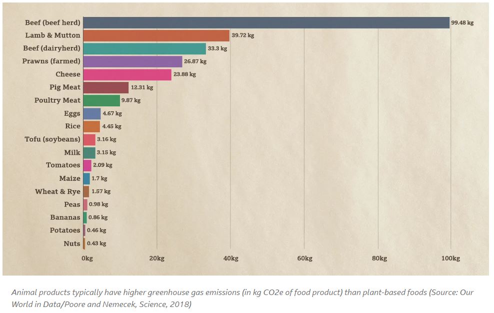 This graph shows that animal products typically have higher greenhouse gas emissions than plant-based foods.