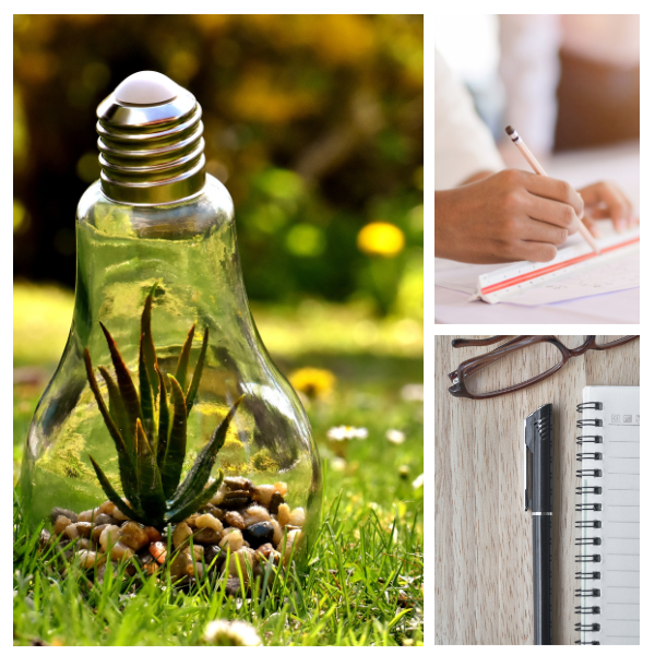 Gallery of a plant growing in a lightbulb, hands writing, and a pen, glasses, and notebook.