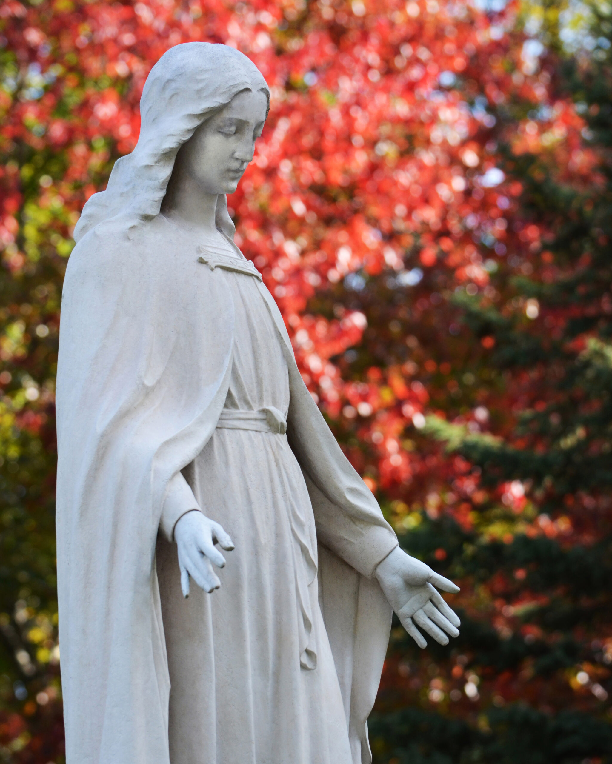 Mary statue standing with arms outstretched in front of red autumn maple tree