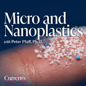Close-up image of micro and nanoplastics on a fingertip, accompanying the text "Micro and Nanoplastics with Peter Pfaff, Ph.D." from Saint Mary's University. The graphic includes the university's logo with the title "Currents."