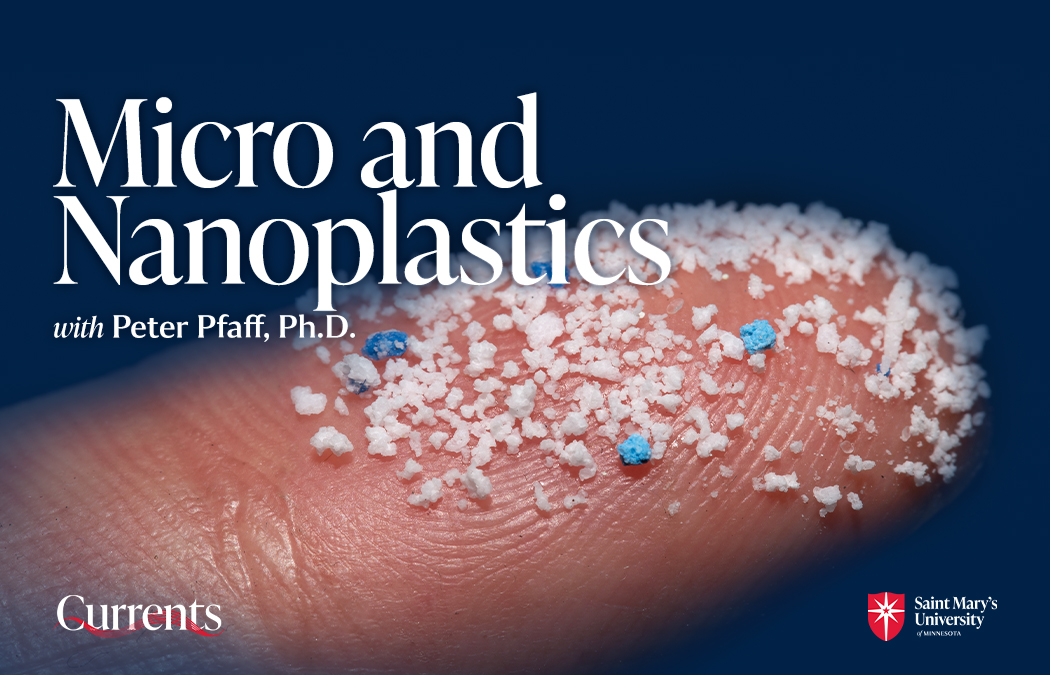 Close-up image of micro and nanoplastics on a fingertip, accompanying the text "Micro and Nanoplastics with Peter Pfaff, Ph.D." from Saint Mary's University. The graphic includes the university's logo with the title "Currents."