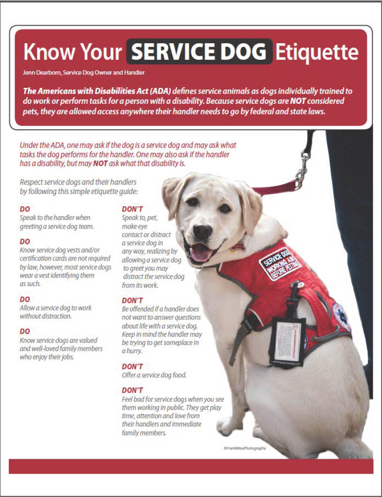 Flyer with a picture of a service dog on it that discusses service dog etiquette as well as information about The Americans with Disabilities Act as it relates to service animals.