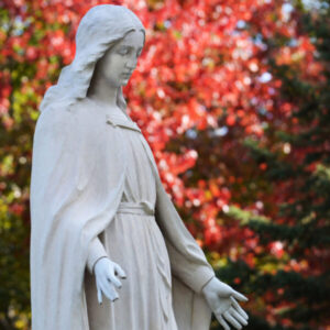 Mary statue and fall leaves